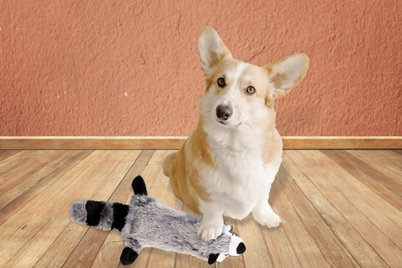 Peculiar Pet Holiday Box - Dog - Image 7