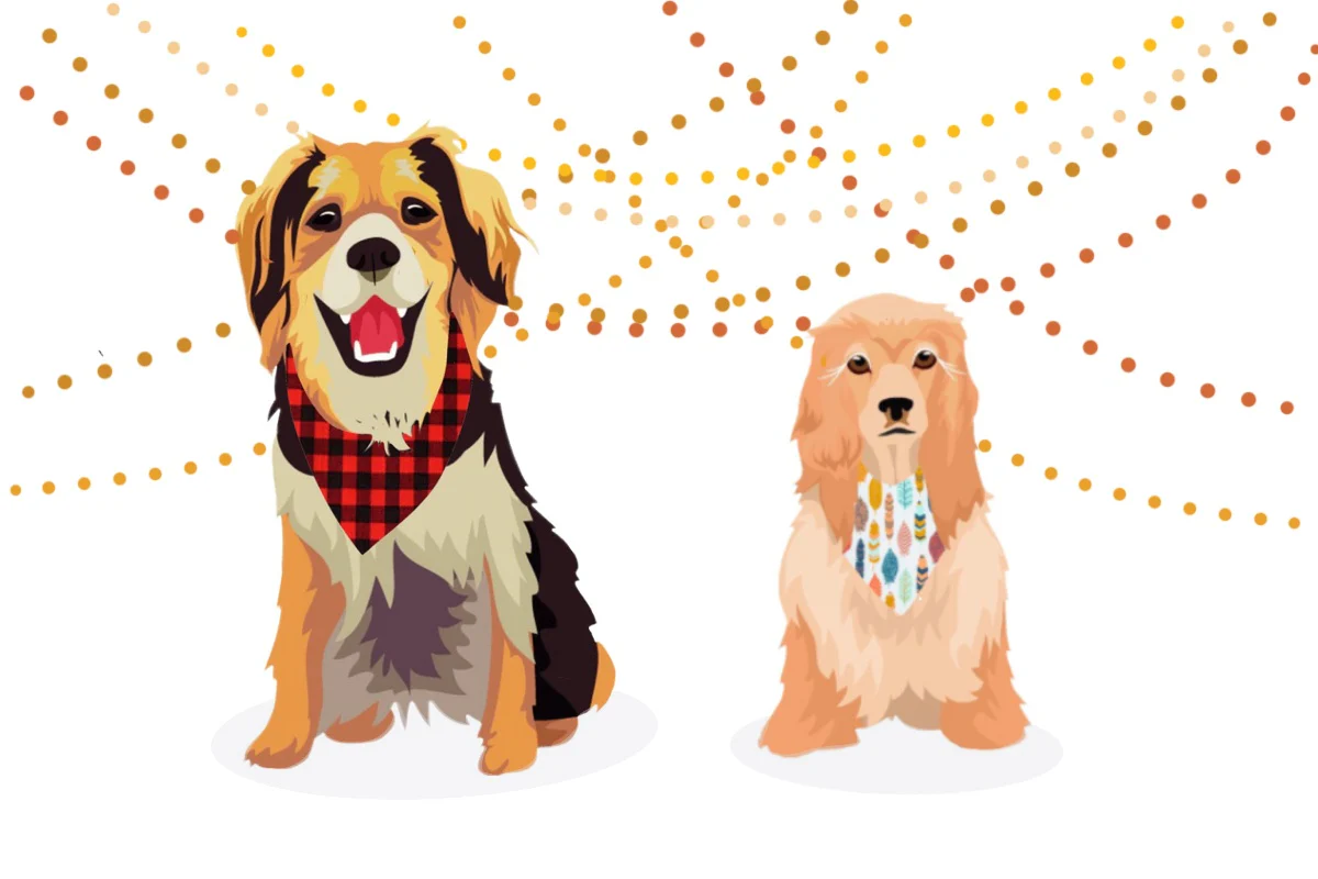 Wigglebutt Pack - Image 3