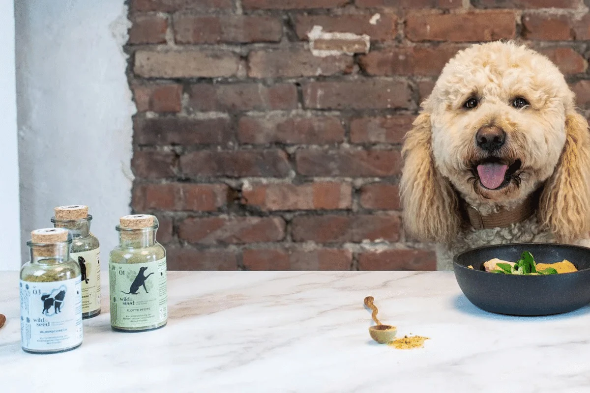 Wild&Seed Nutritional Supplements for your dog - Image 2
